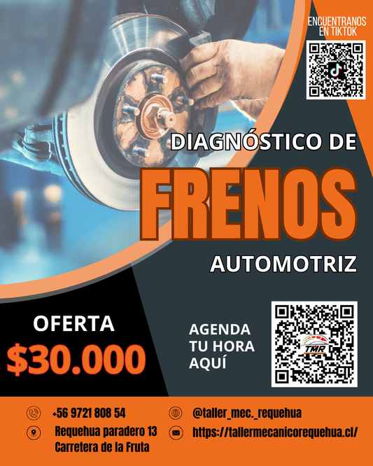 Diagnostico Frenos y Revisión Elevador